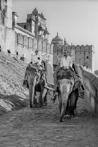 Monuments and palaces tours